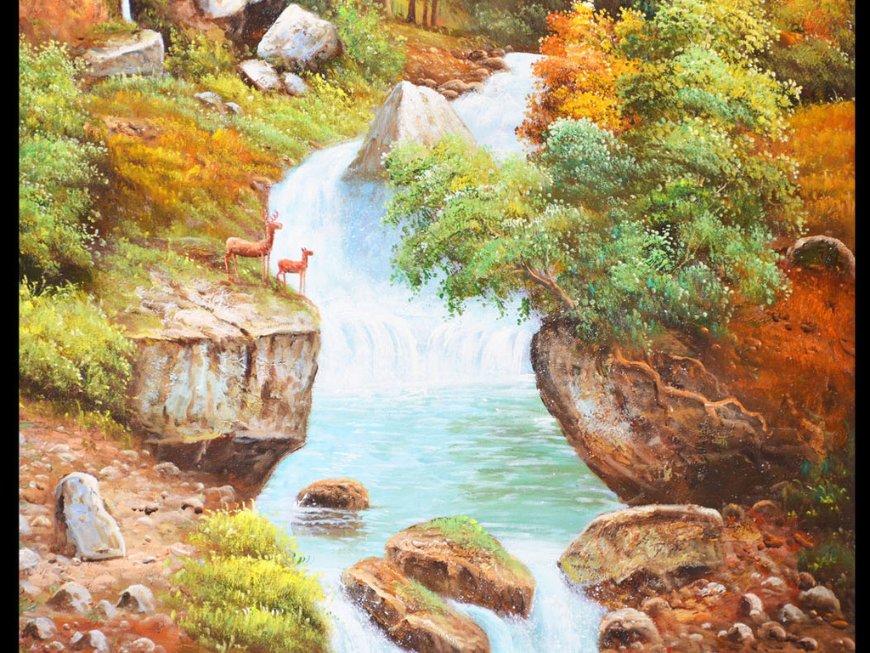 梦想的后院